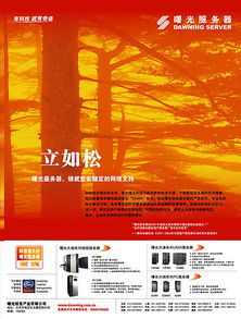 廣告設計的多元化展現 從傳統媒體到數字時代的創意實踐